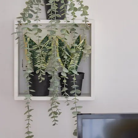 Historic Alfama Delight, By Timecooler 리스본